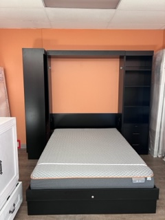 Queen Wallbed with Bed pulled donw